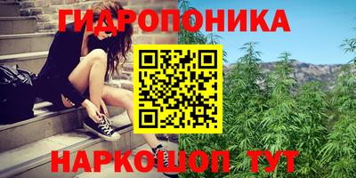 бошки Заводоуковск
