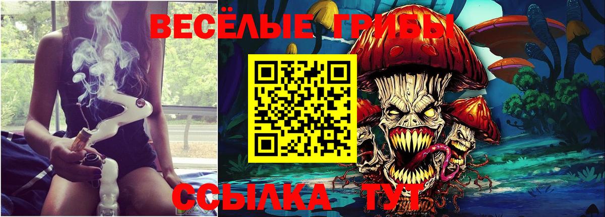 Галлюциногенные грибы Psilocybine cubensis  Вход с VPN  Галлюциногенные грибы Cubensis  Заинск 